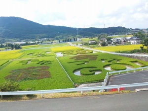 田んぼアート